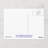 FROGGIE POND Postkarte (Rückseite)