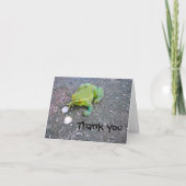 Froggie thank you note dankeskarte (Vorderseite)