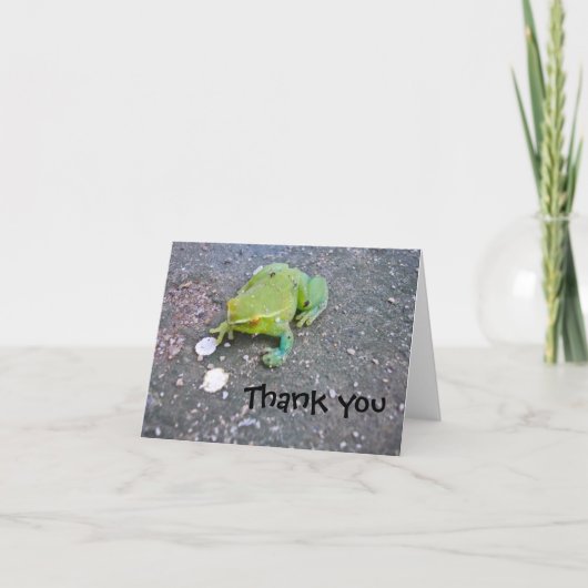 Froggie thank you note dankeskarte (Vorderseite)