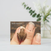 Froggy Hand Postkarte (Stehend Vorderseite)