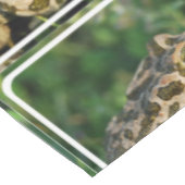 Froggy Tischdecke (Schrägansicht)