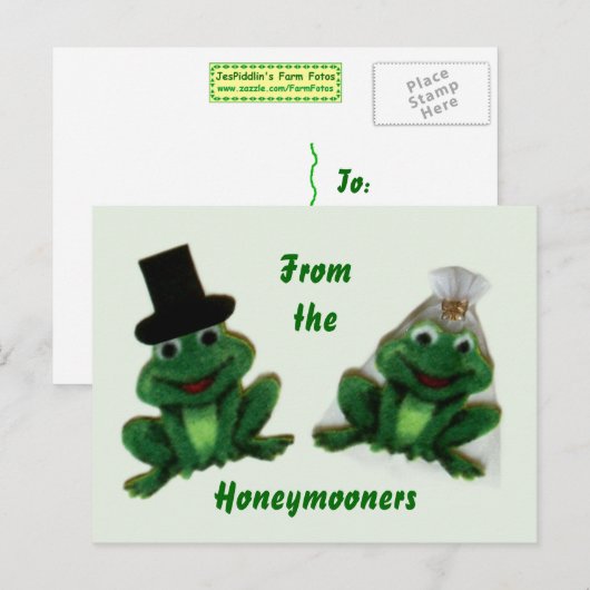 Froggy Wedding - Flitterwochen Postkarte (Vorne/Hinten)