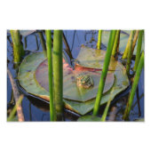 FROGPORTRAIT FOTODRUCK (Vorne)