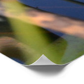 FROGPORTRAIT POSTER (Ecke)