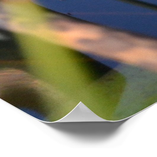 FROGPORTRAIT POSTER (Ecke)