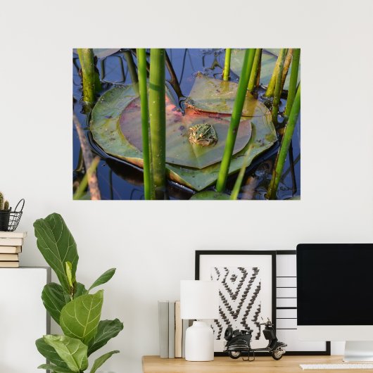 FROGPORTRAIT POSTER (Heimbüro)