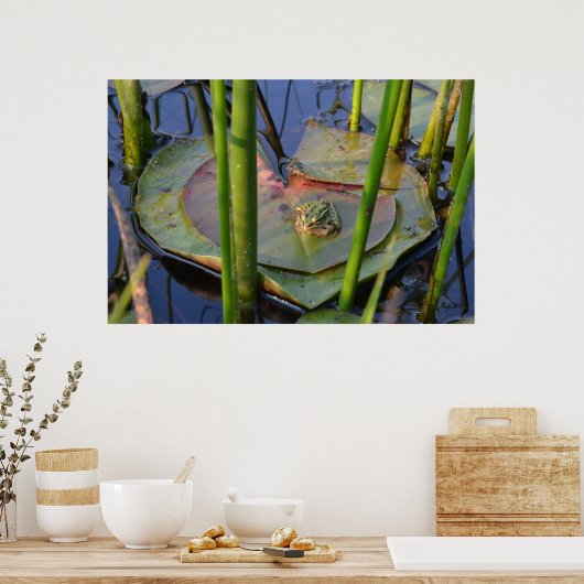 FROGPORTRAIT POSTER (Küche)