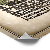 Frogs for Freedom Triple-hopped IPA Poster (Ecke)