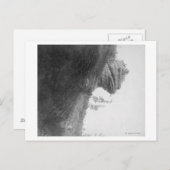 Frog's Head Rock on Deadwood Road Fotograf Postkarte (Vorne/Hinten)