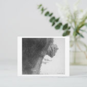 Frog's Head Rock on Deadwood Road Fotograf Postkarte (Stehend Vorderseite)