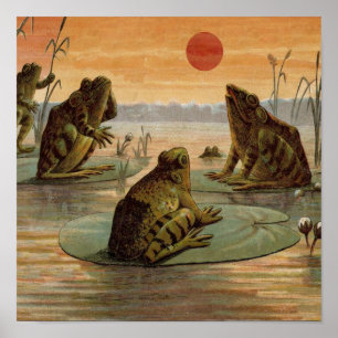 Frogs Lily Pads Moon Illustration Poster