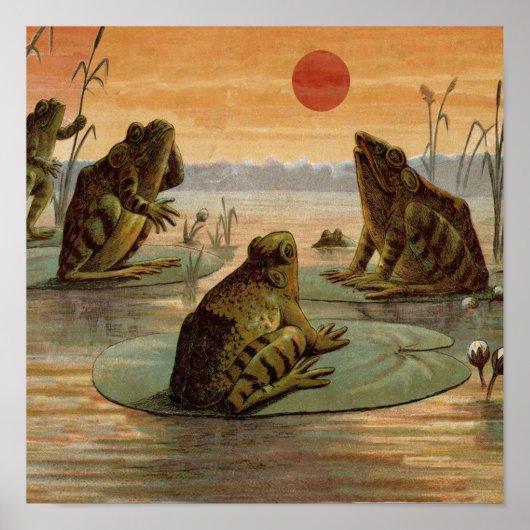 Frogs Lily Pads Moon Illustration Poster (Vorne)