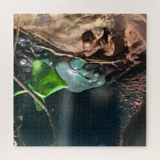 Frogs Mystery Life Nr. 2 Puzzle (Horizontal)