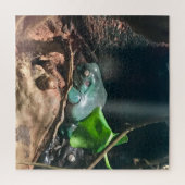 Frogs Mystery Life Nr. 2 Puzzle (Vertikal)