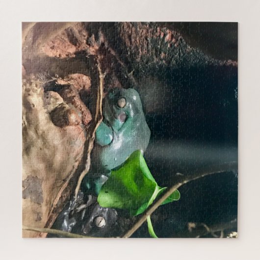 Frogs Mystery Life Nr. 2 Puzzle (Vertikal)