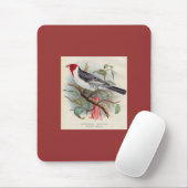 Frohawk - dominikanischer Kardinal Mousepad (Mit Mouse)