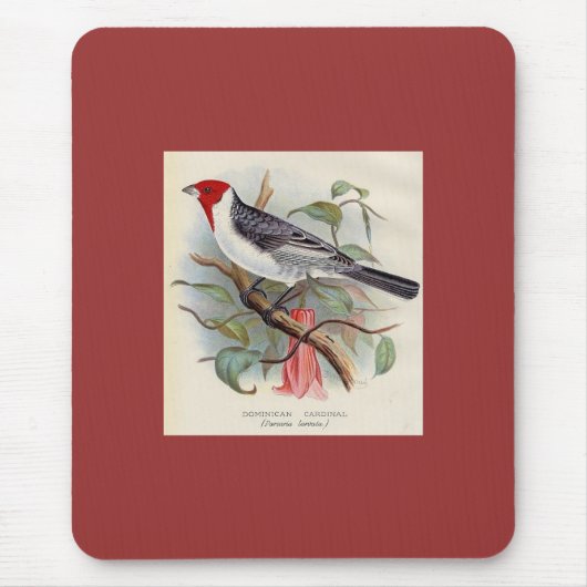 Frohawk - dominikanischer Kardinal Mousepad (Vorne)