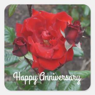 Frohe Anniversary Crimson Bouquet Rose #1 Stickers