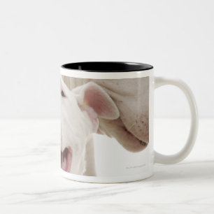 Frohe Bullterrier Zweifarbige Tasse