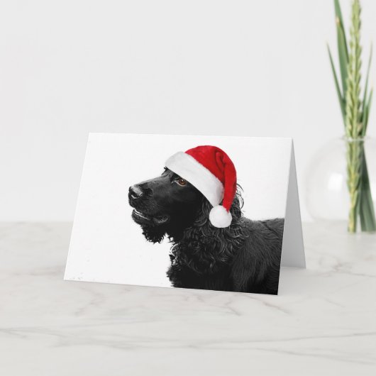 Frohe Christmas Cocker Feiertagskarte (Vorderseite)