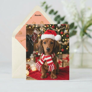 Frohe Feiertage Dachshund Weihnachtsporträt Feiertagskarte