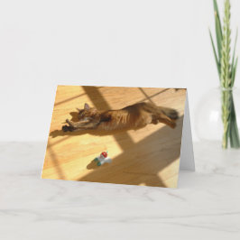 Frohe Feiertage somalische Katzen-Art Feiertagskarte