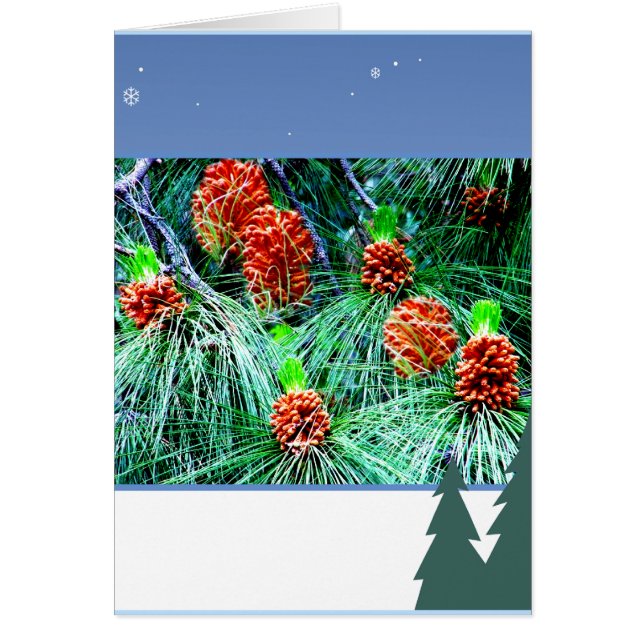 Frohe Festtage_ (Vorne)