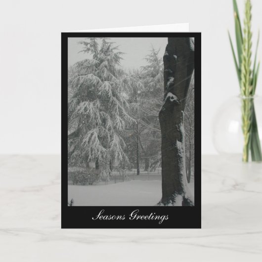 Frohe Festtage Feiertagskarte (Vorderseite)