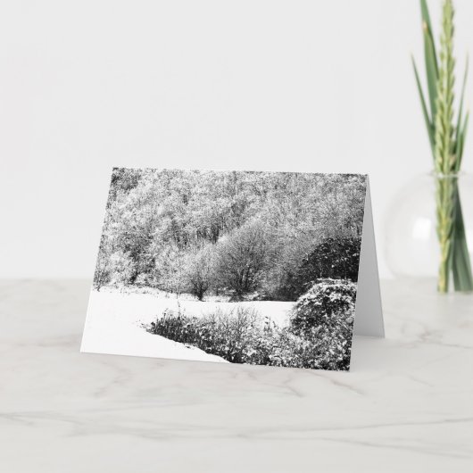 Frohe Festtage kardieren (nicht religiös) Feiertagskarte (Vorderseite)