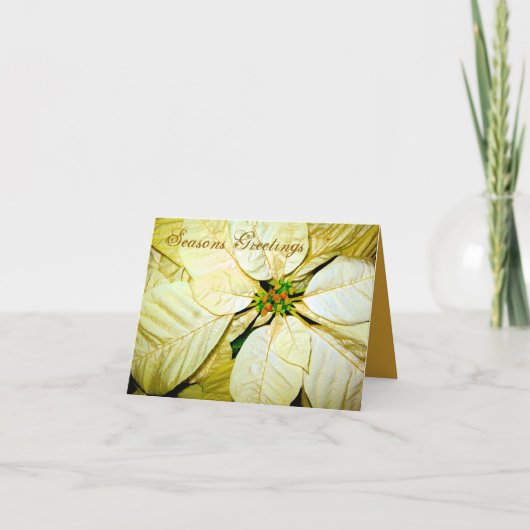 Frohe Festtage Pointsettia_ Karte (Vorderseite)