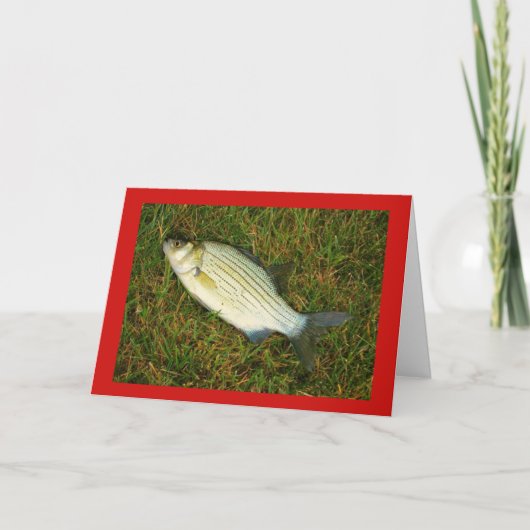 Frohe Fishmas! Feiertagskarte (Vorderseite)
