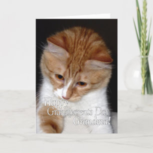 Frohe Großelterntag Oma Süße Katze Karte