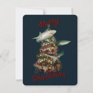 Frohe Haifrohe Weihnachten Haie um den Weihnachtsb