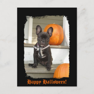 Frohe Halloween! Postkarte