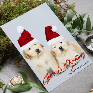 Frohe Howlidays Schöne Feiertage Weihnachtsfoto Feiertagskarte