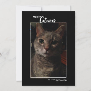 Frohe Katzenweihnachten Haustier-Fotokalender-Feie Feiertagskarte
