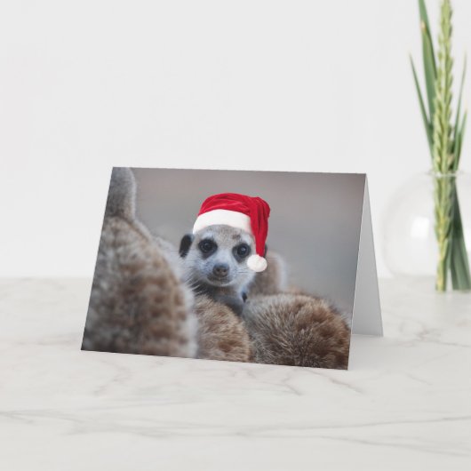 Frohe Meerkat Weihnachten - Frohe Festtage 2 (Vorderseite)