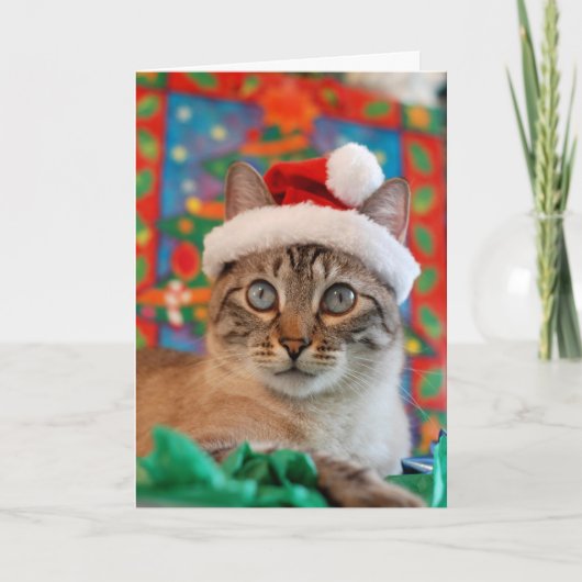 Frohe Meowy Weihnachten von der Miezekatze Sankt! (Vorderseite)