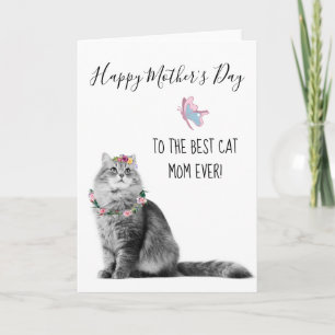 Frohe Mutter Tag Von Katze Beste Katze Mama Karte