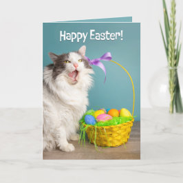 Frohe Osterfeier für alle Katzen, die an der Spitz Feiertagskarte