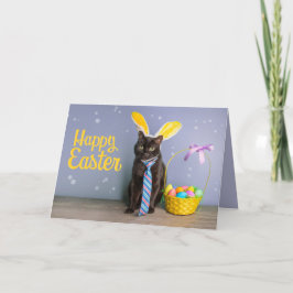 Frohe Osterfeier für alle Niedlichen Katzen in son Feiertagskarte