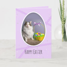 Frohe Osterfeier für alle Niedlichen Katzen mit Ko Feiertagskarte