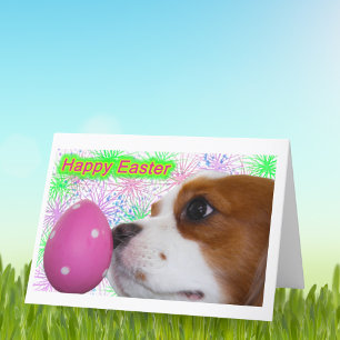 Frohe Ostern Cavalier King Charles Spaniels Feiertagskarte