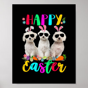 Frohe Ostern Drei Malteser mit Hasenohren Poster