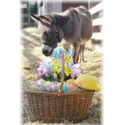"Frohe Ostern" Feiertagskarte