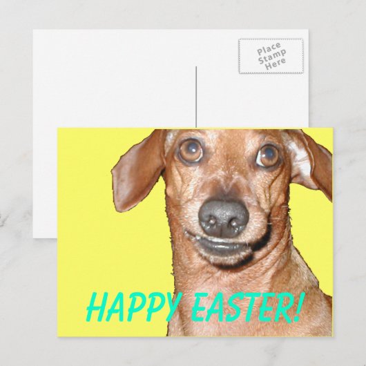 Frohe Ostern! Feiertagspostkarte (Vorne/Hinten)