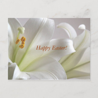 Frohe Ostern! Feiertagspostkarte