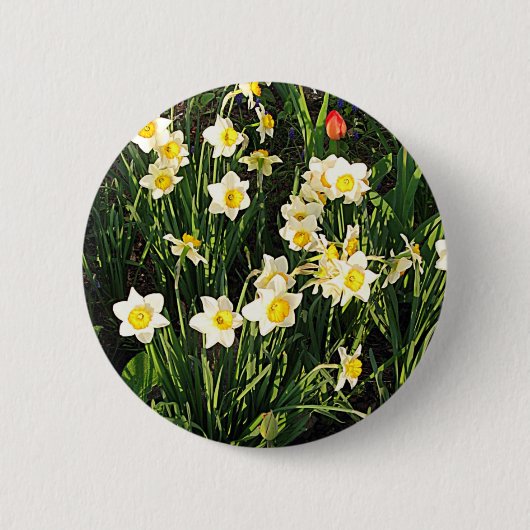Frohe Ostern / Frühling Button (Vorderseite)
