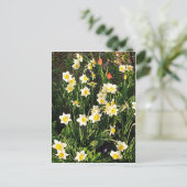 Frohe Ostern / Frühling Feiertagspostkarte (Stehend Vorderseite)