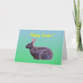 Frohe Ostern Hase Karte (Vorderseite)